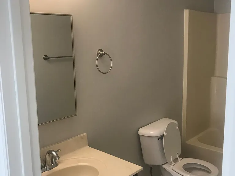 Shared Bathroom between bedrooms 1 & 2