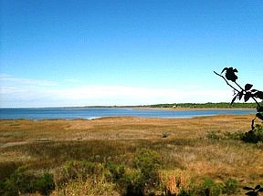2nd image of 445 Cape San Blas Rd
