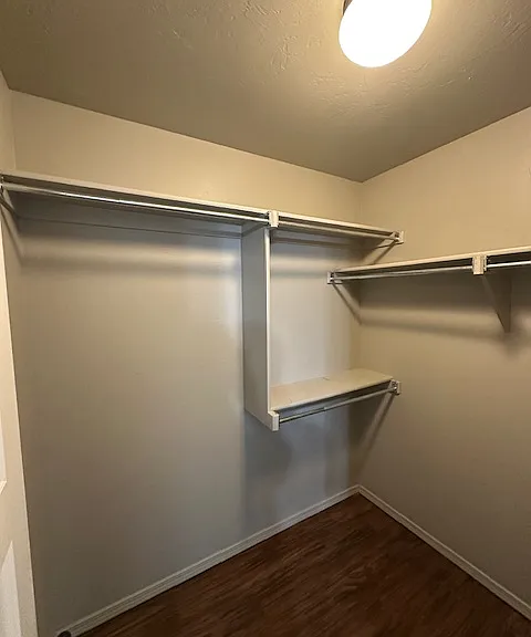 14601 Moon Daisy Dr — Photo 11