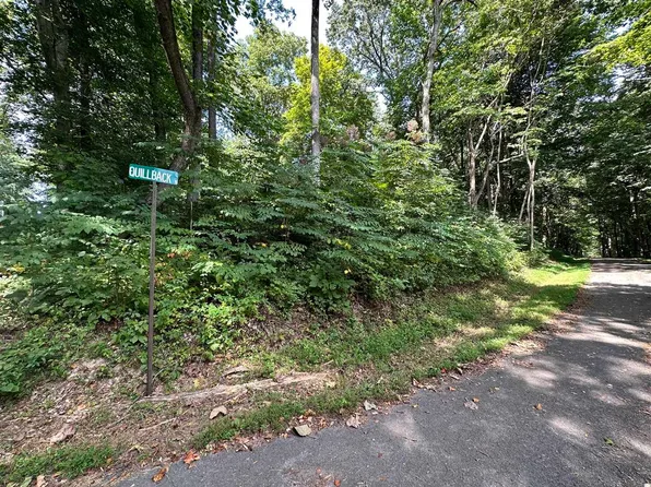 56 Quill Back Ln, Scottsville, KY 42164