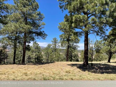 243 Deer Park Dr, Alto, NM, 88312