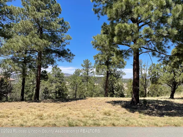 243 Deer Park Dr, Alto, NM 88312