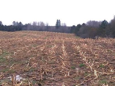 Fish Rd, Conneautville, PA, 16406