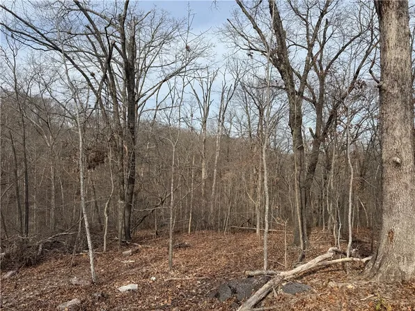 (undisclosed Address), Bella Vista, AR 72715