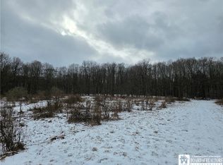 0 Warner Gulf Rd #9, Sardinia, NY 14134