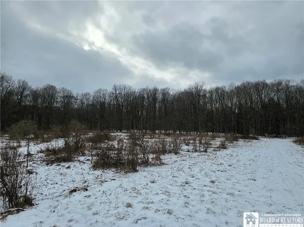 0 Warner Gulf Rd #9, Sardinia, NY 14134