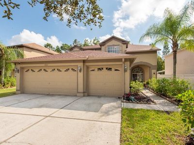 18141 Sandy Pointe Dr, Tampa, FL, 33647