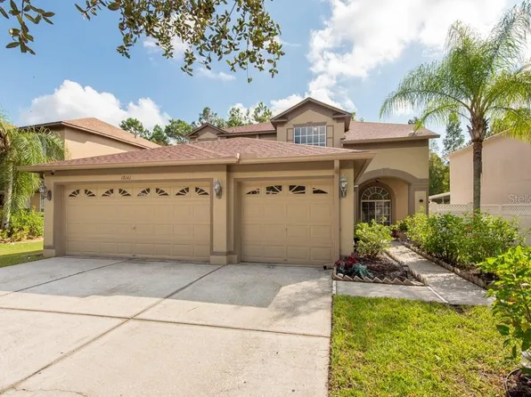 18141 Sandy Pointe Dr, Tampa, FL 33647