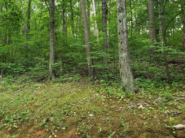 128 Rappahannock Trl, Winchester, VA 22602