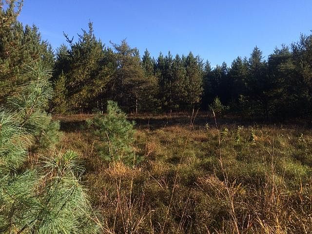 1st image of 0 Hubbard Lake Trail 40 Acres