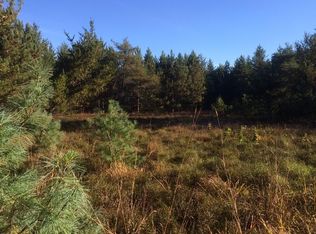 0 Hubbard Lake Trail 40 Acres, Curran, MI 48728