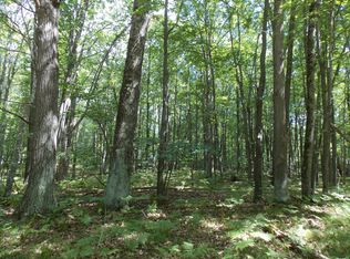 Lot 446 Oak Run, Farwell, MI 48622
