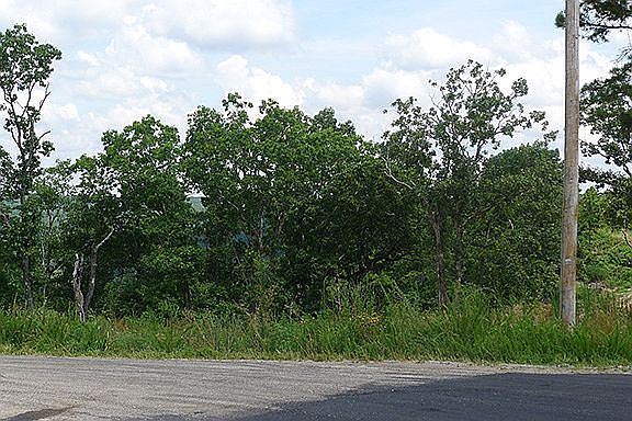 looking N, from 225
