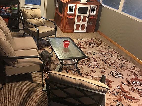 Porch with Costco playhouse 