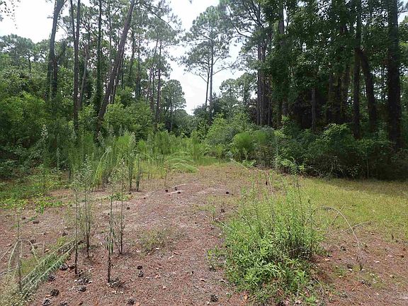 2nd image of 1481 Ocean Breeze Ln