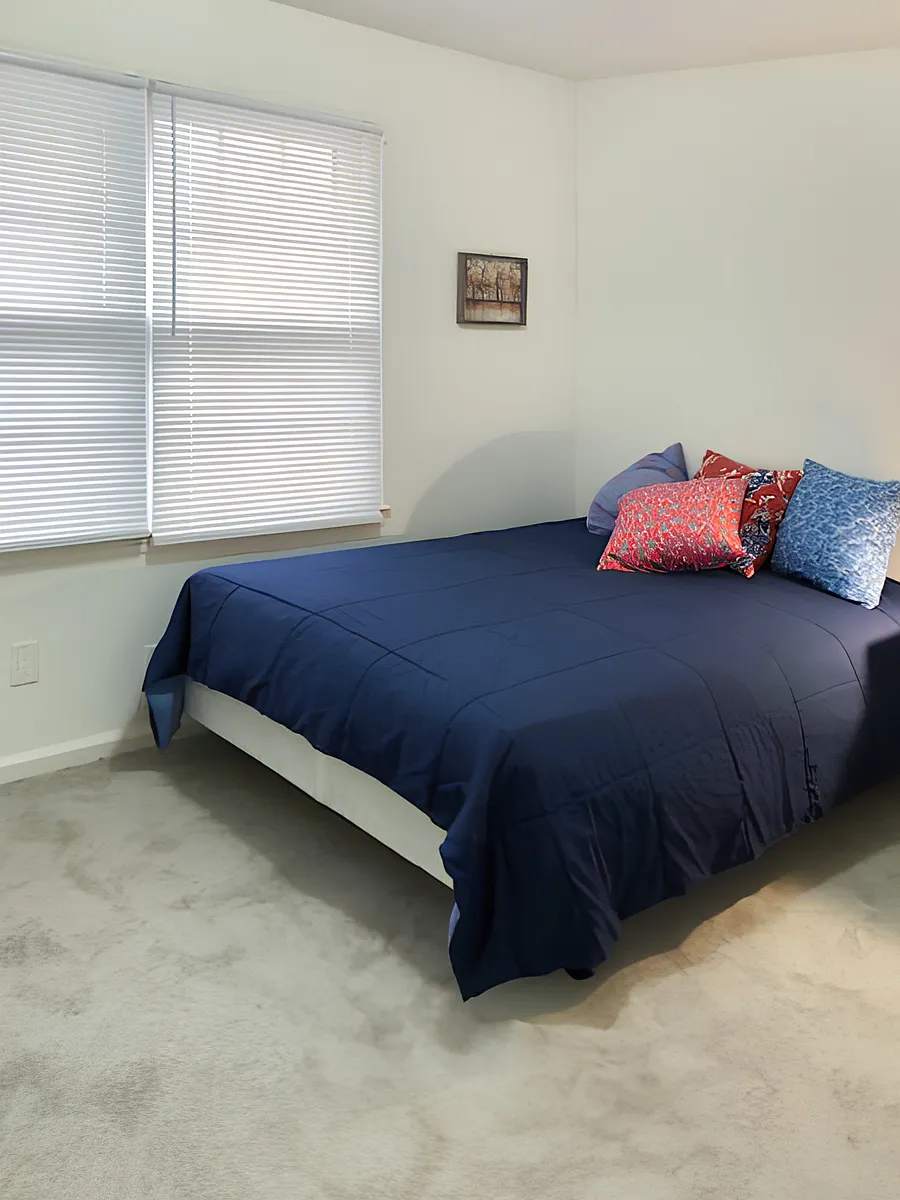 Very large, spacious and bright room - Lehigh Dr
