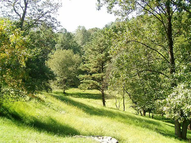 E Rose Tree Rd, Media — Photo 3