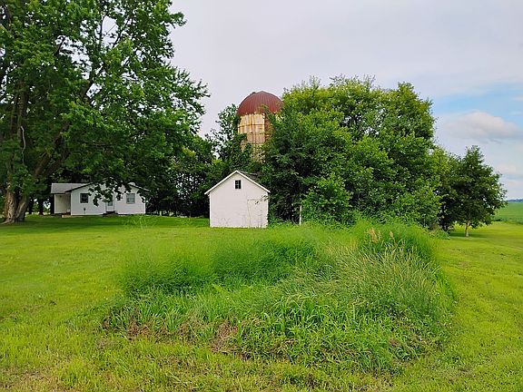 Asparagus patch