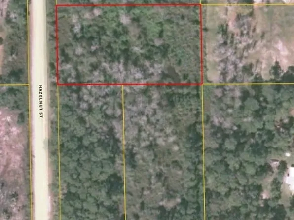 1881 Hazelnut St, Bunnell, FL 32110