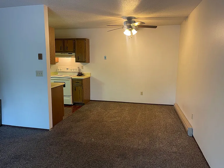 Silver Leaf Apartments — Photo 45