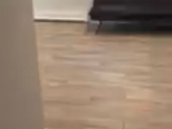 3rd image of 8001 Hawkins Ave
