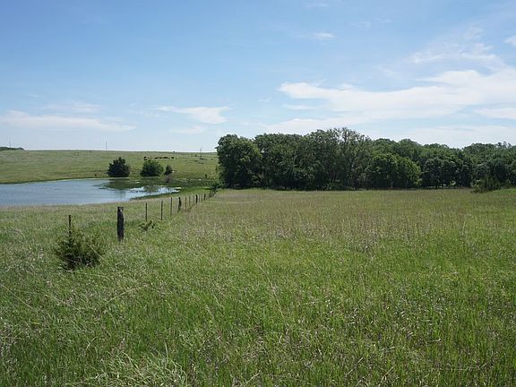 North fenceline