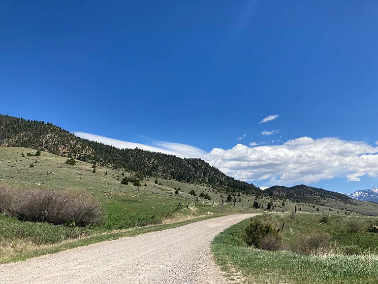 4450 Trail Creek Rd — Photo 4