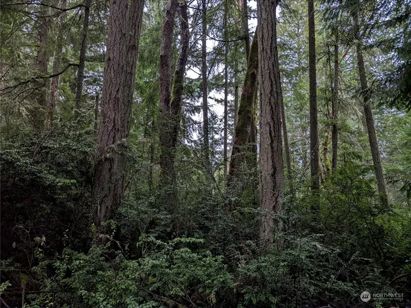 11311 Greenwood Drive, Anderson Island, WA 98303