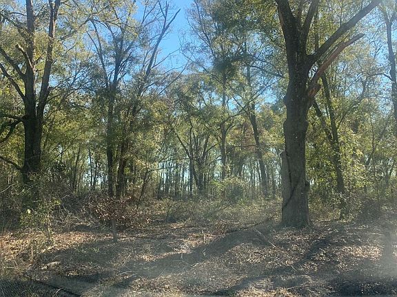 5th image of 131st Dr