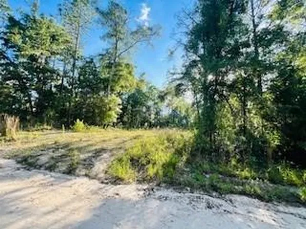  NW 18th Ter, Bell, FL 32619