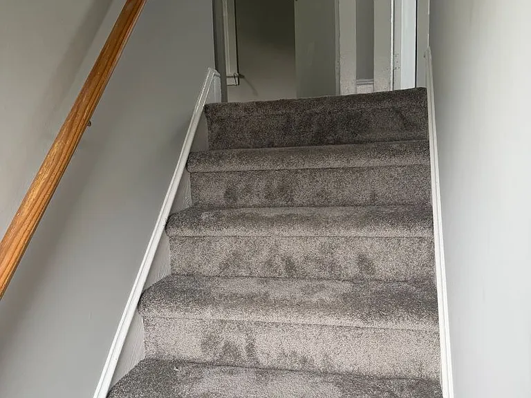 217 Abbey Ln — Photo 13