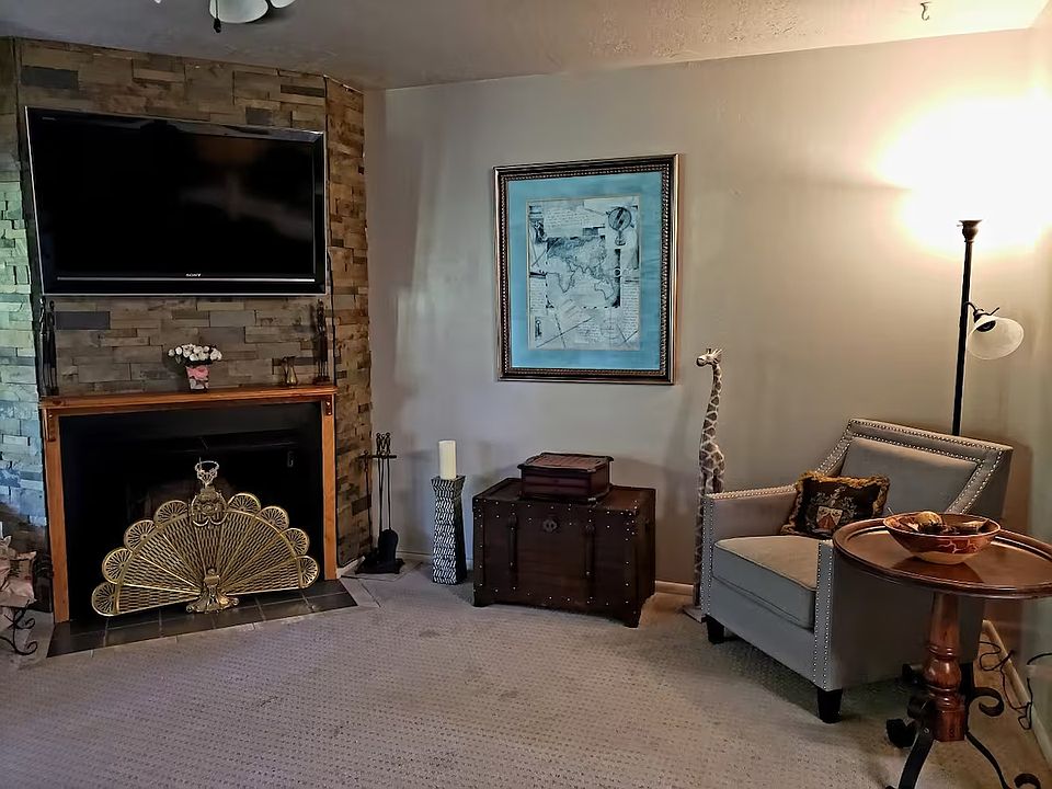 Wood burning fireplace