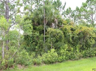 33 Buttermill Dr, Palm Coast, FL 32137