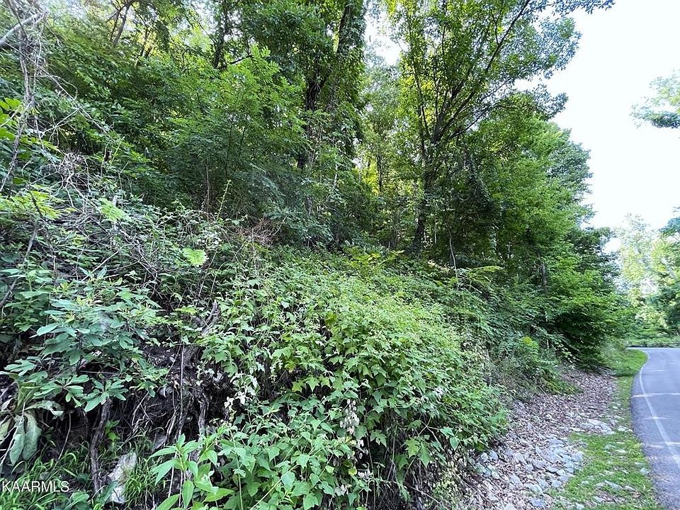 1st image of LOT 12th Blf