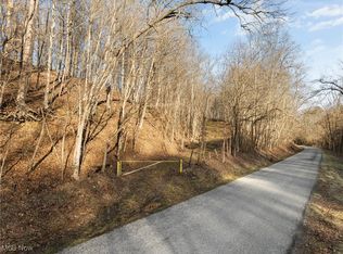 0 Little McMahon Creek Rd, Saint Clairsville, OH 43950