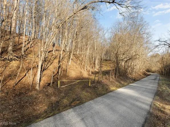 0 Little McMahon Creek Rd, Saint Clairsville, OH 43950