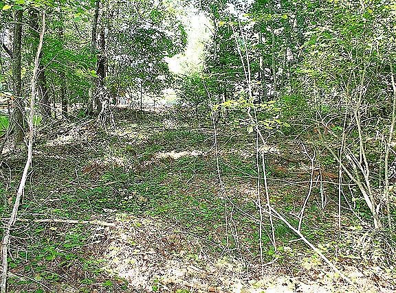 5th image of 0 Rivermist Dr Lot 5