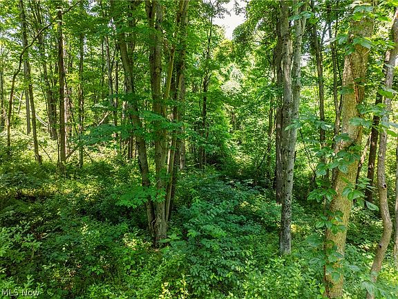 5th image of 11 Township Road 51 NE