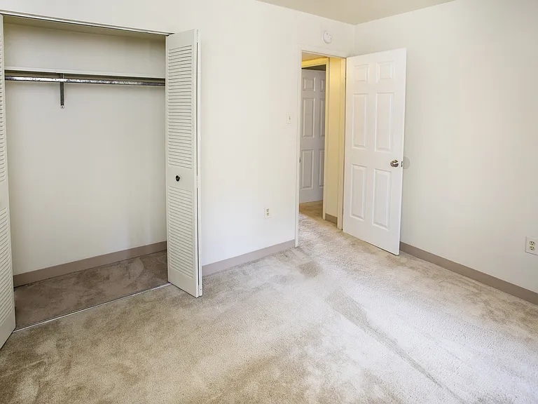 Forest Apartments — Photo 7