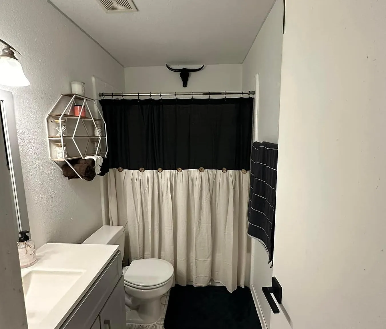 3309 Chisholm Trl — Photo 4