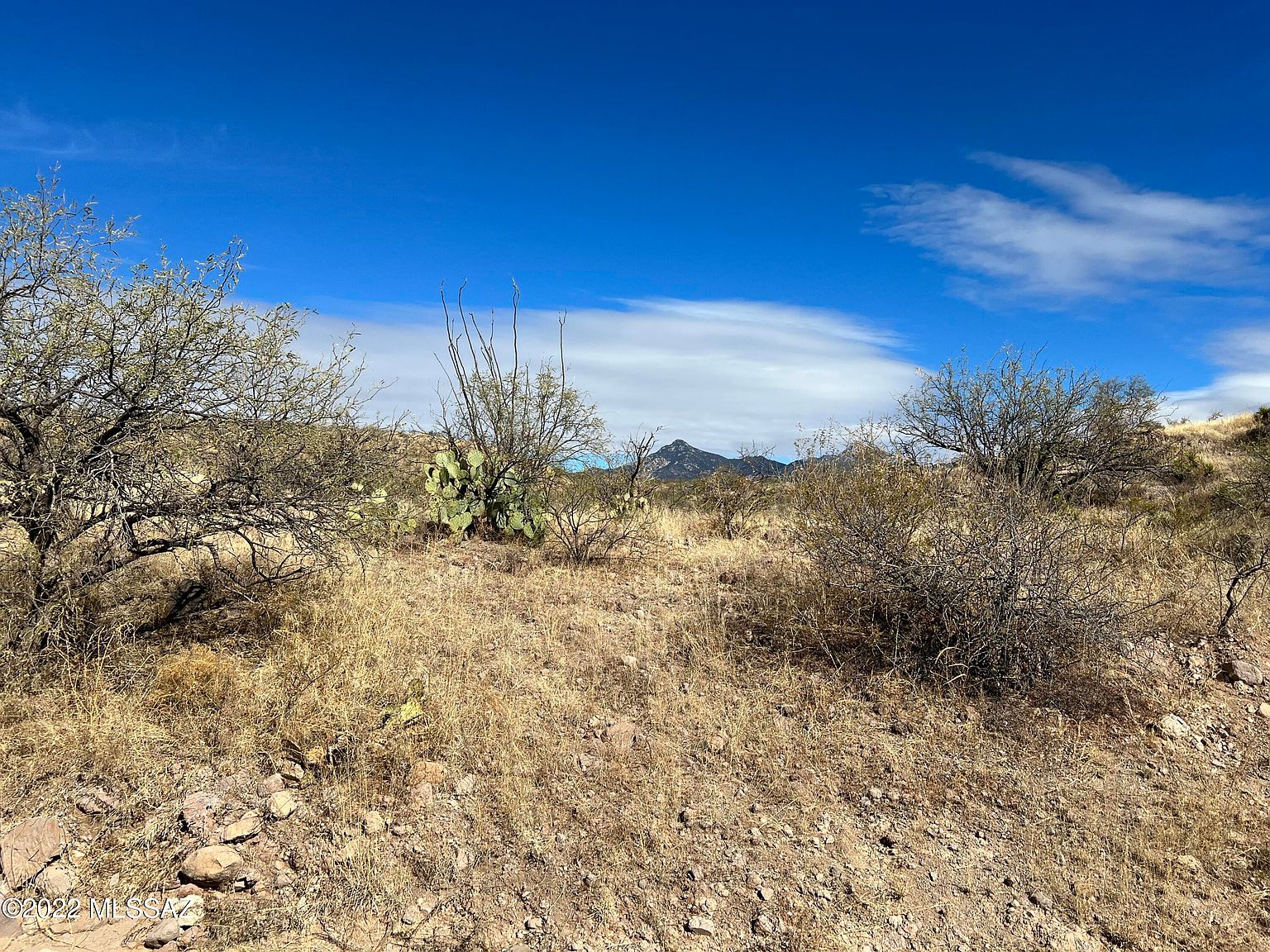 Camino Josefina #99A&C, Rio Rico, AZ 85648 | Zillow