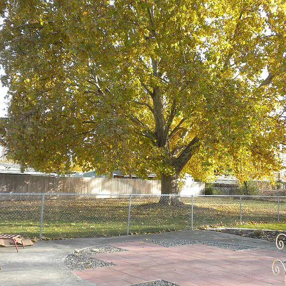 2105 Kuhn St — Photo 22