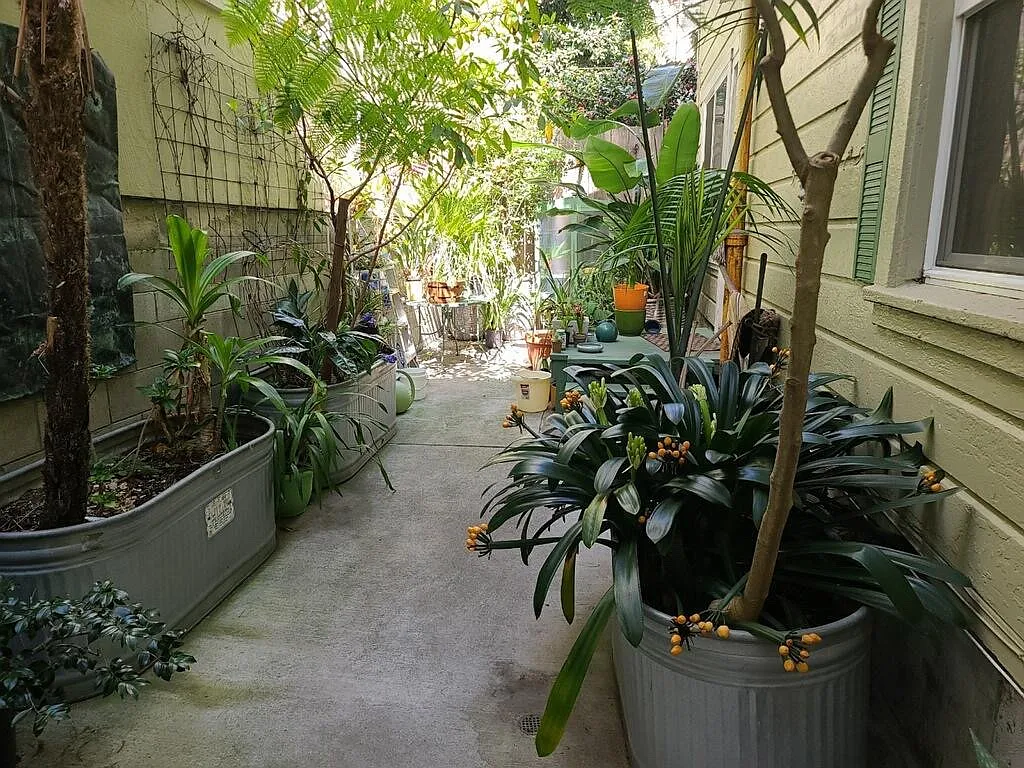 1501 Larkin St — Photo 4