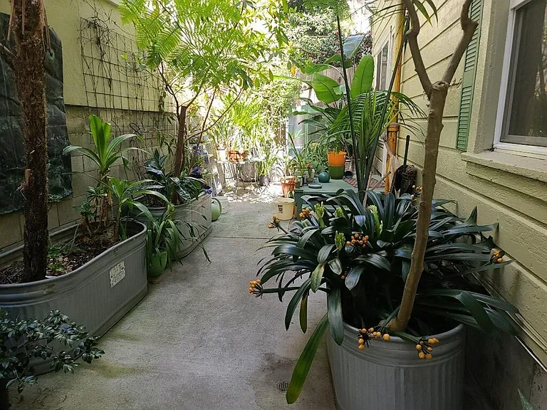 1501 Larkin St — Photo 4
