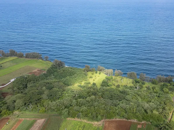 28-110 Kulaimano Homestead Rd Lot 16, Pepeekeo, HI 96783