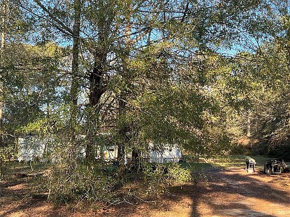 4th image of 11781 Amber Park Dr
