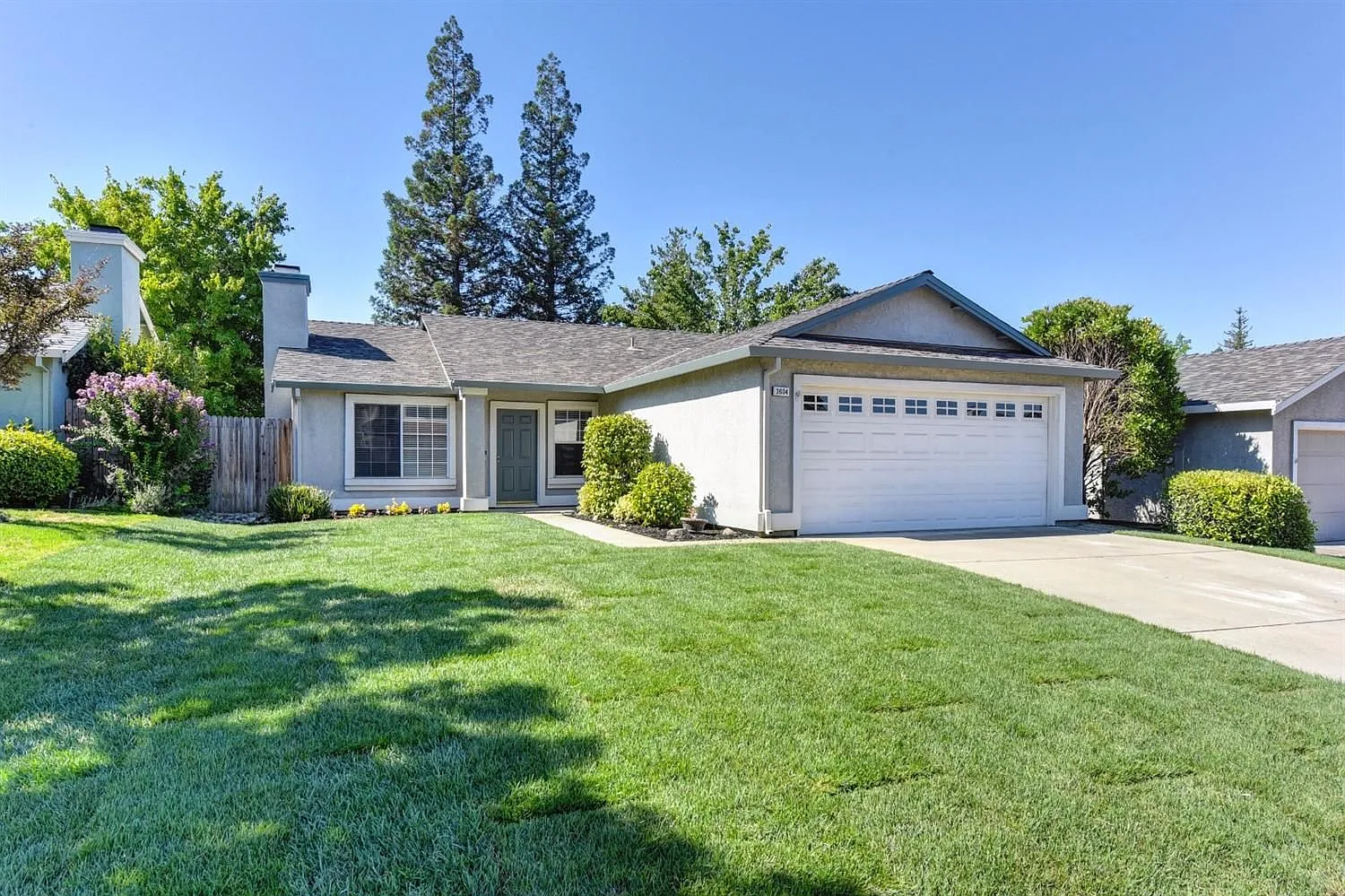 3604 Pine Hollow Way photo 1