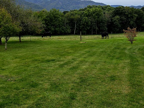 Flat yard and Mountain View’