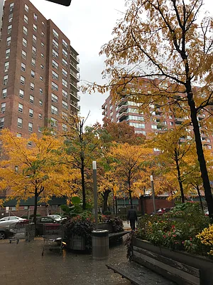 Rented by YKLL LLC | media 1