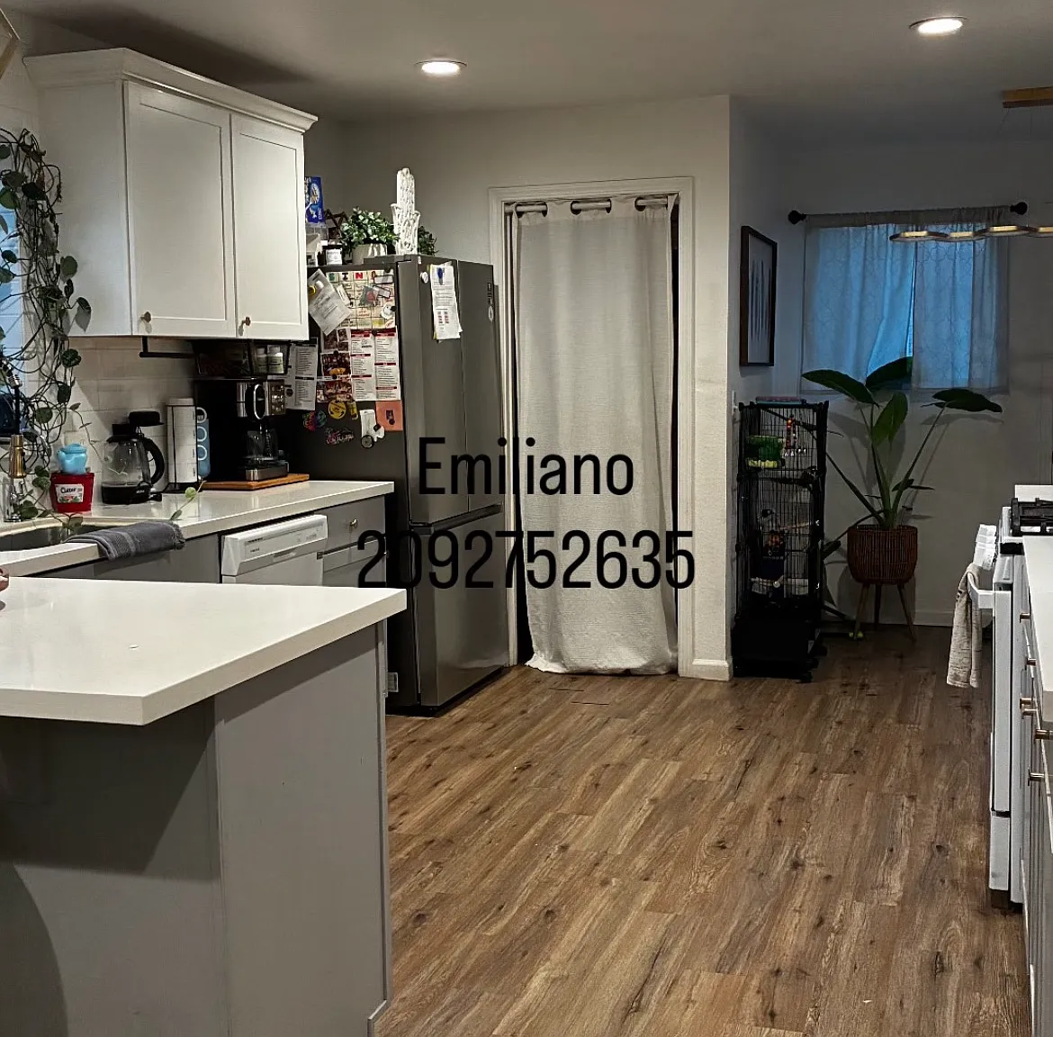 2 bed, 683 sqft, $3,000 — Photo 2